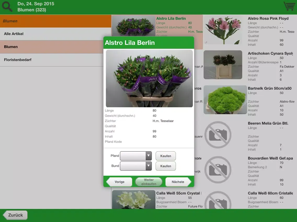 Tangkapan layar Willeke Blumen iPad 