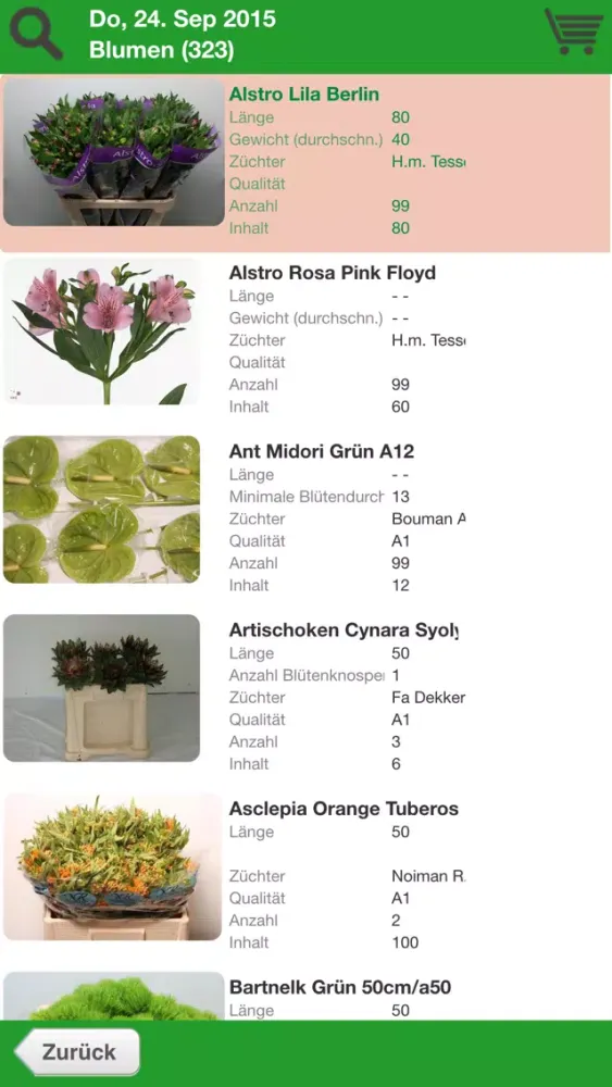 Tangkapan layar Willeke Blumen