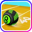Bowl Master: Lawn 8 Ball pool