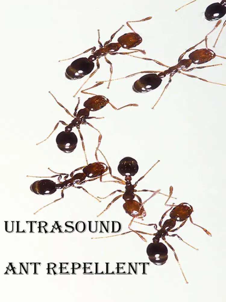 Screenshot di Ultrasound Ant Repellent iPad 