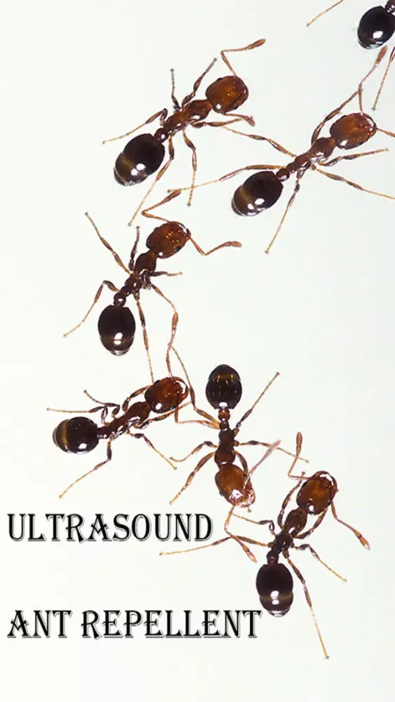 Screenshot di Ultrasound Ant Repellent
