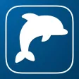 NetGuard - Save the ocean NetGuard - Save the ocean