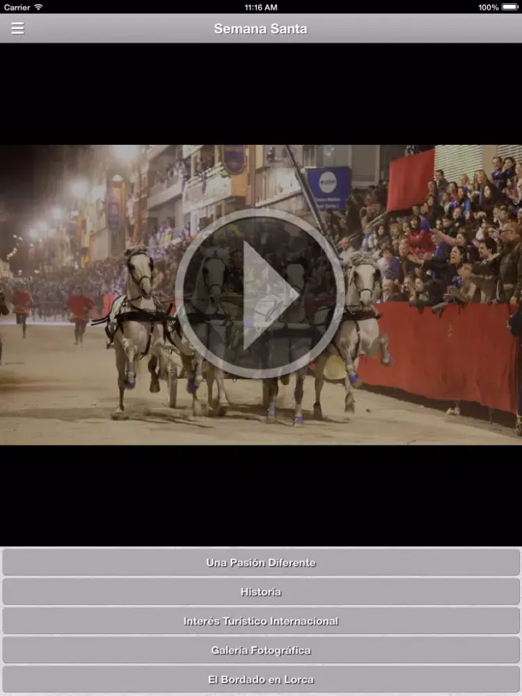 Semana Santa de Lorca iPad 应用截图