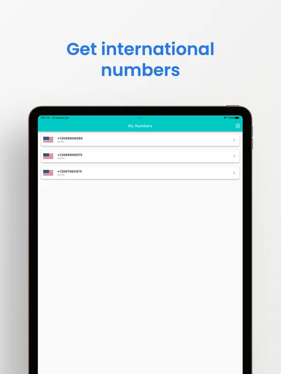Zrzuty ekranu Dual Phone - 2nd Number & Text iPad 