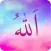 Asmaa' Allah al-Husna