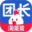 淘菜菜团长