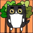 Meow, Catch Me Now Meow, Catch Me Now