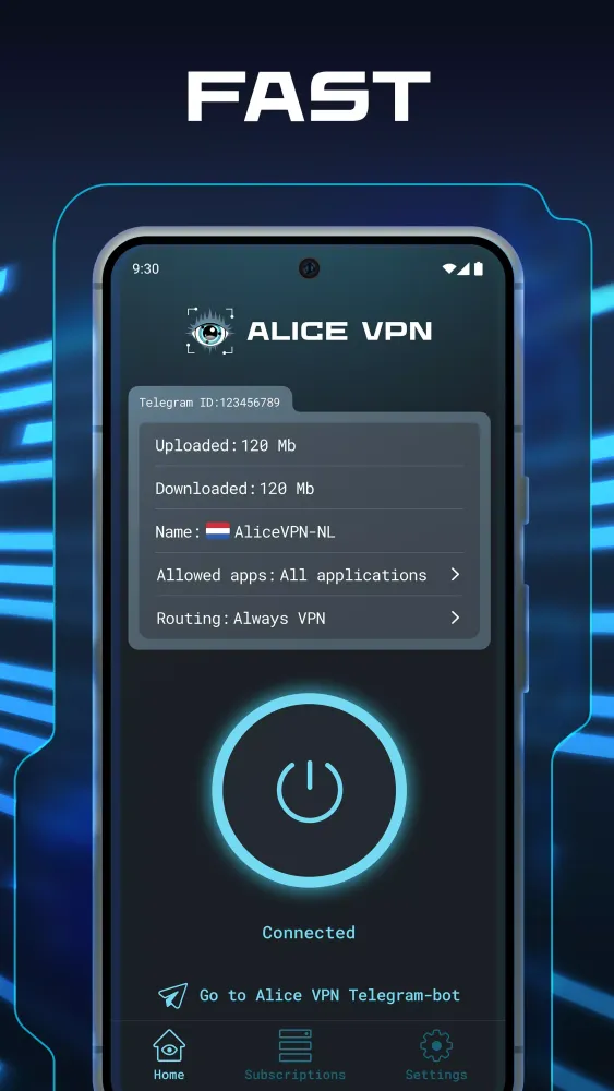 Alice VPN スクリーンショット
