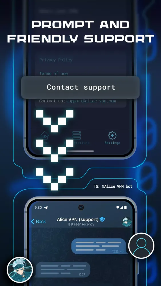 Alice VPN スクリーンショット