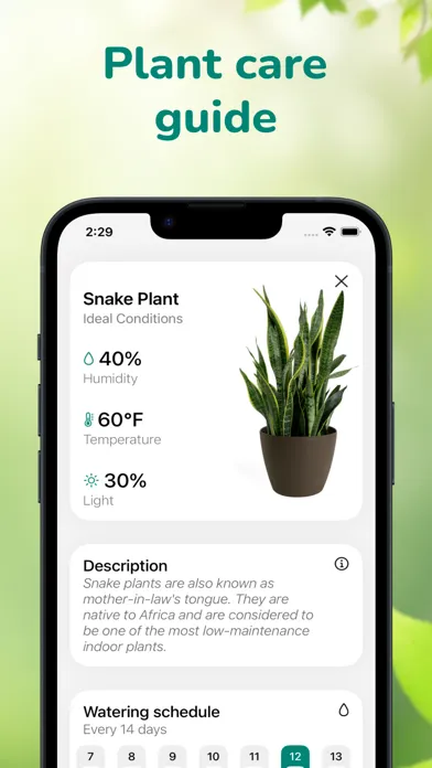 Plant Finder Identifier Ekran Görüntüleri