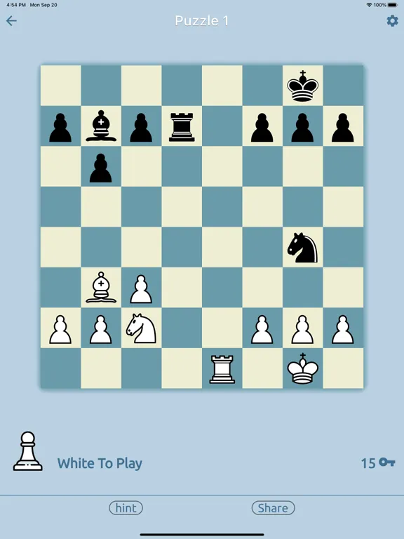 Скриншоты Chess Puzz iPad 