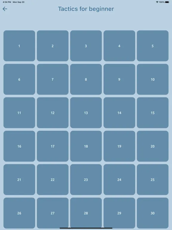 Скриншоты Chess Puzz iPad 