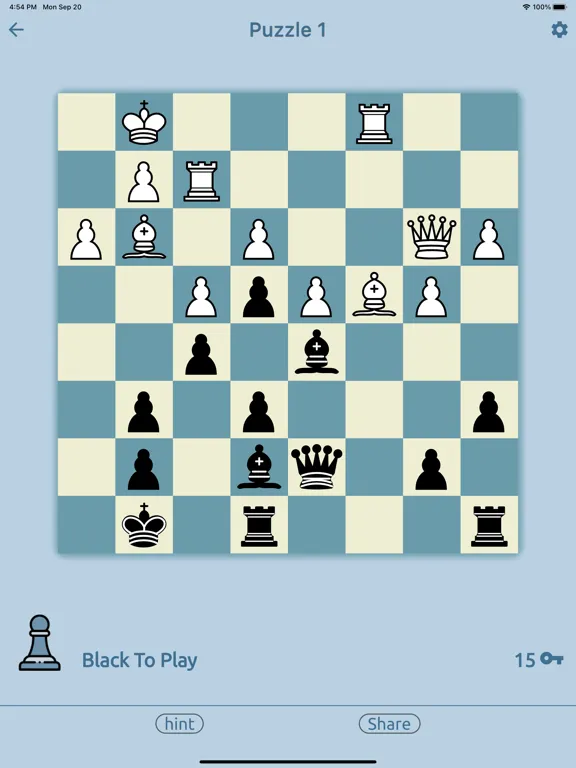 Скриншоты Chess Puzz iPad 