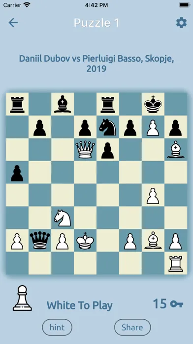 Скриншоты Chess Puzz