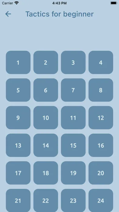 Скриншоты Chess Puzz