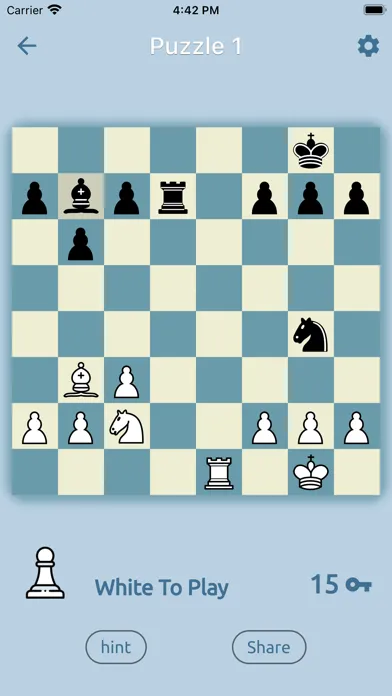 Скриншоты Chess Puzz