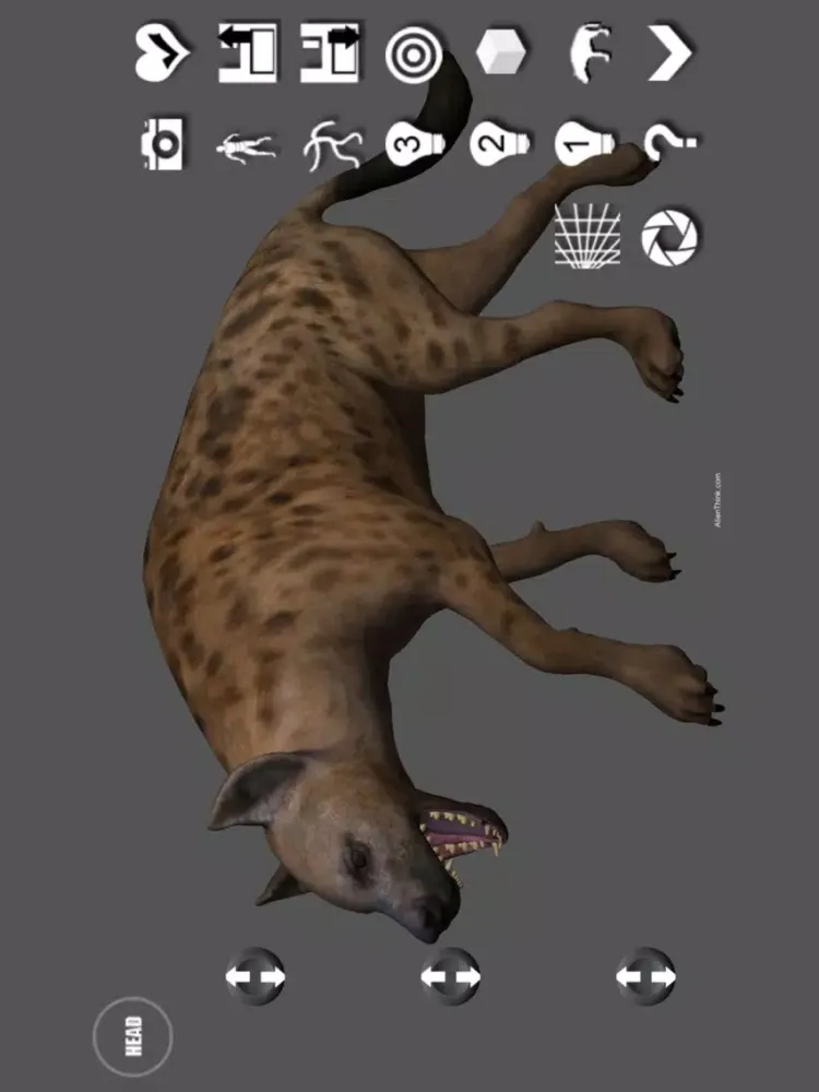 Скриншоты Hyena Pose Tool 3D iPad 