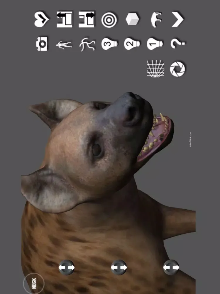Скриншоты Hyena Pose Tool 3D iPad 