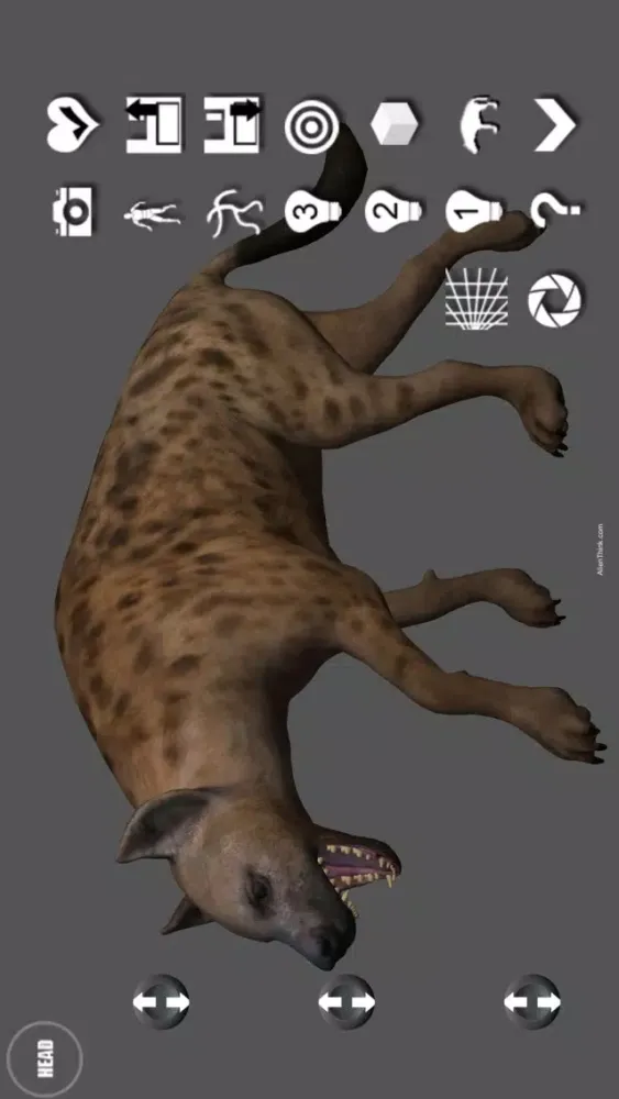 Скриншоты Hyena Pose Tool 3D