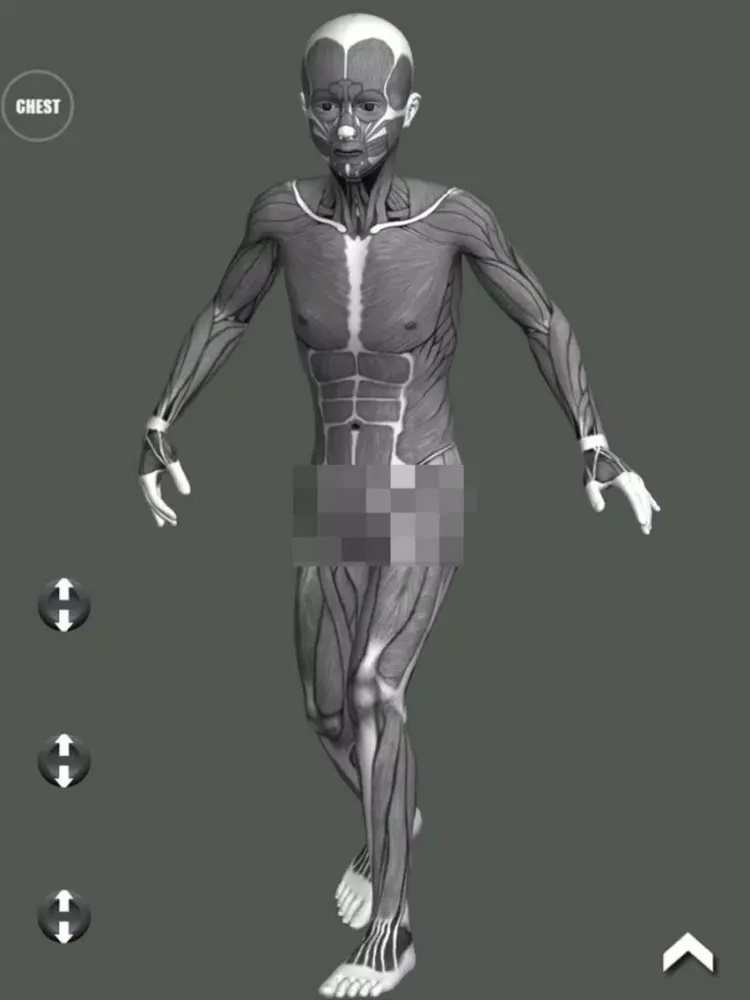 صور Manga Pose Tool 3D iPad 