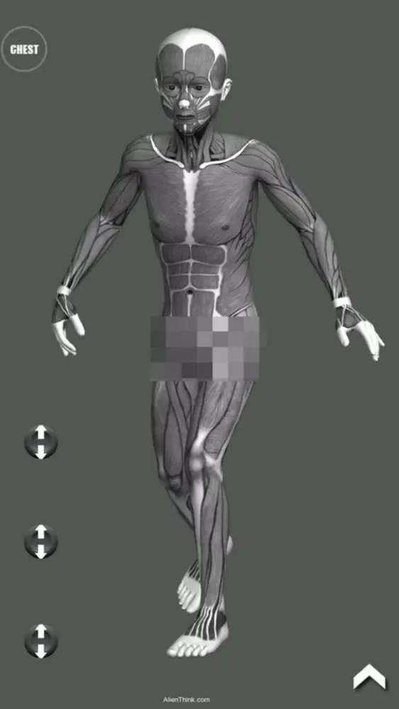 صور Manga Pose Tool 3D