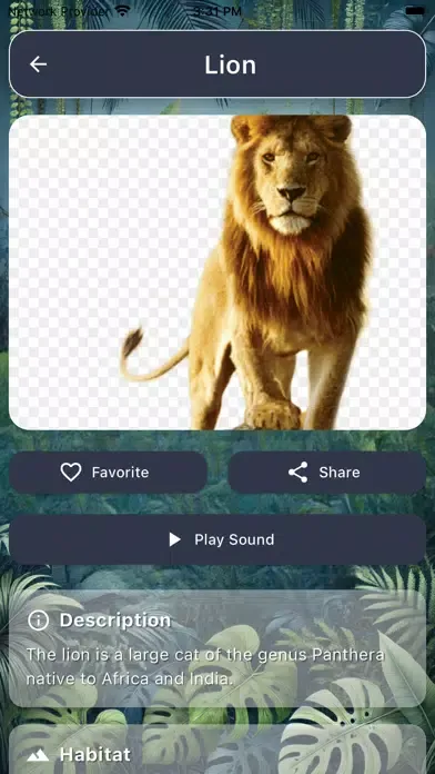 FortuneWildlifeSounds Ekran Görüntüleri