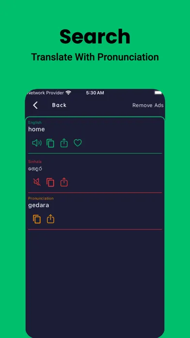 Скриншоты Sinhala Dictionary - Dict Box