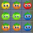 A Tomato Garden Congregate