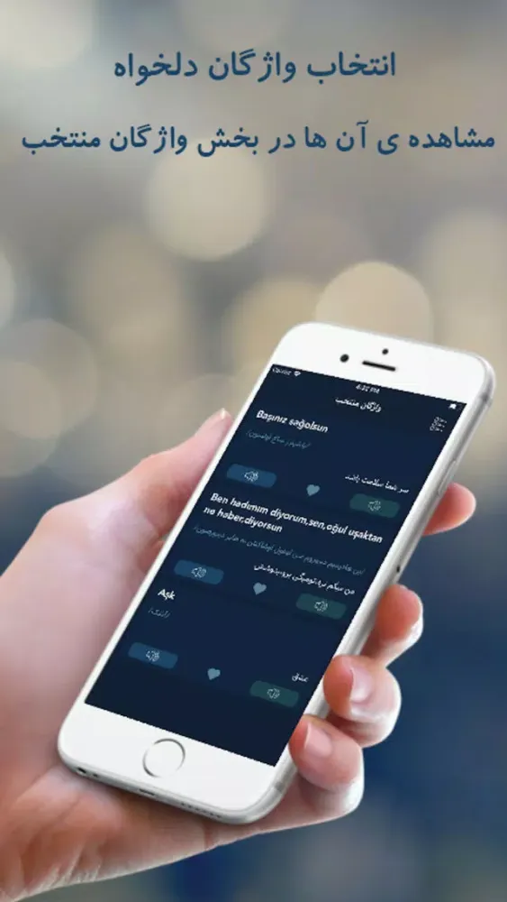 Turkish Dic Screenshots