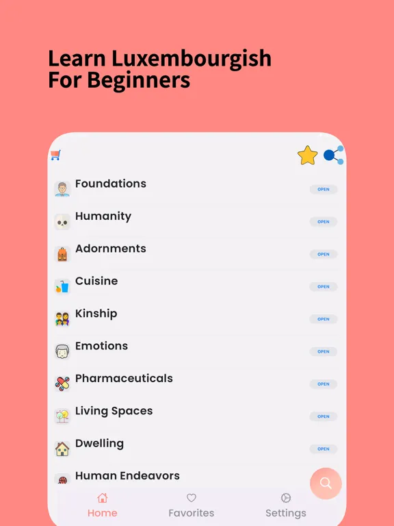 Learn Luxembourgish Beginner iPad  স্ক্রিনশট