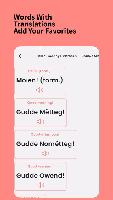 Learn Luxembourgish Beginner স্ক্রিনশট