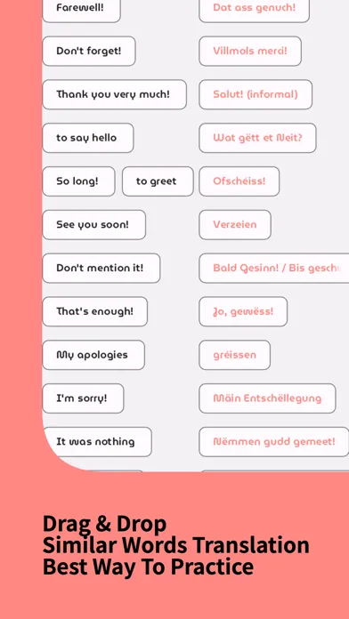Learn Luxembourgish Beginner স্ক্রিনশট