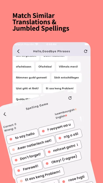 Learn Luxembourgish Beginner স্ক্রিনশট