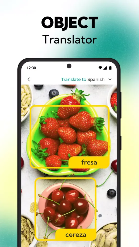 Voice All Languages Translator Screenshots