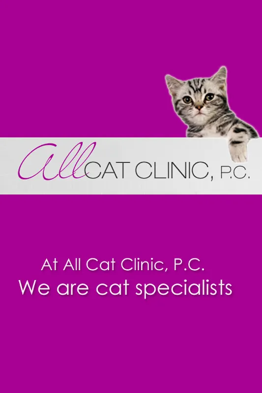 All Cat Clinic Screenshots