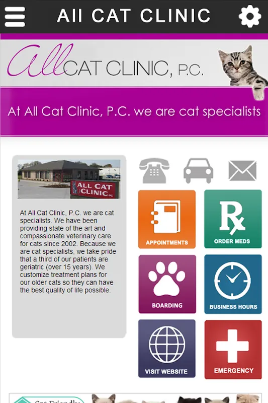 All Cat Clinic Screenshots