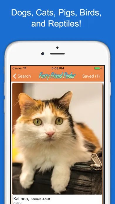 Screenshot di Furry Friend Finder Pet Rescue