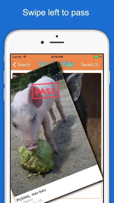 Screenshot di Furry Friend Finder Pet Rescue