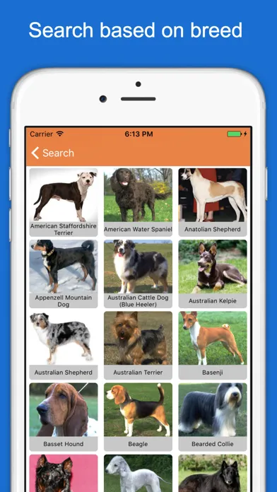 Screenshot di Furry Friend Finder Pet Rescue