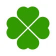 Allergi