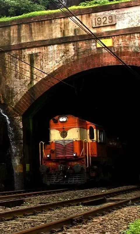 Capturas de tela do India Trains Jigsaw Puzzles