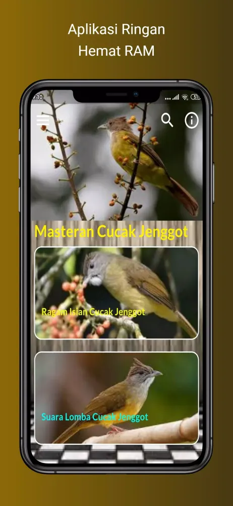Masteran Cucak Jenggot Gacor Screenshots