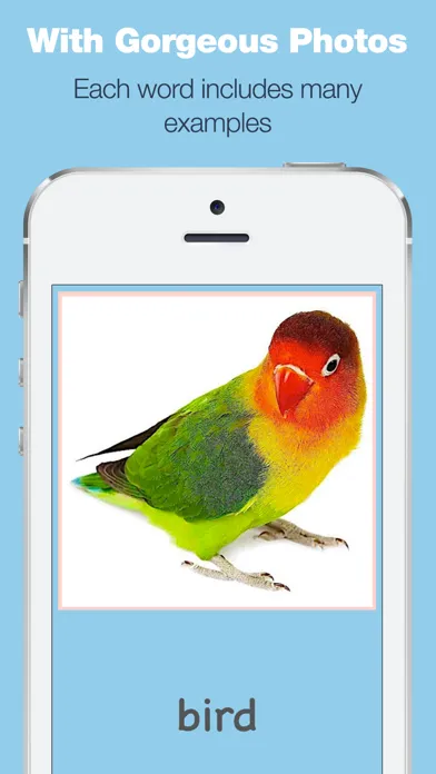 Baby Flash Cards - My First Words Game for Boys and Girls Screenshots