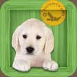Animal Zoo - Flash Cards & Games