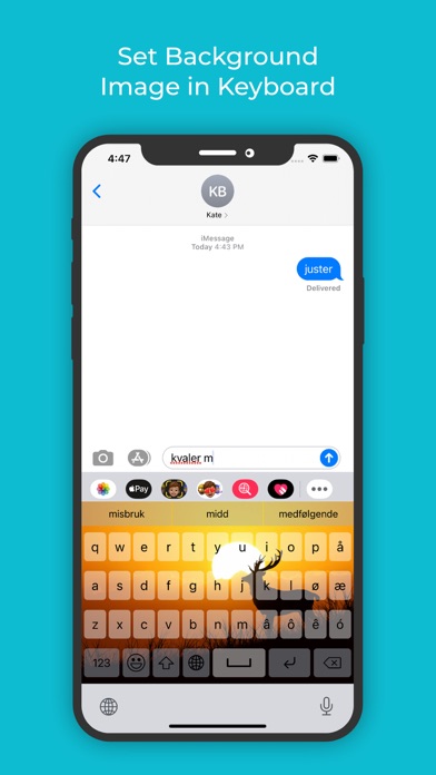 Norwegian Keyboard: Translator Ekran Görüntüleri