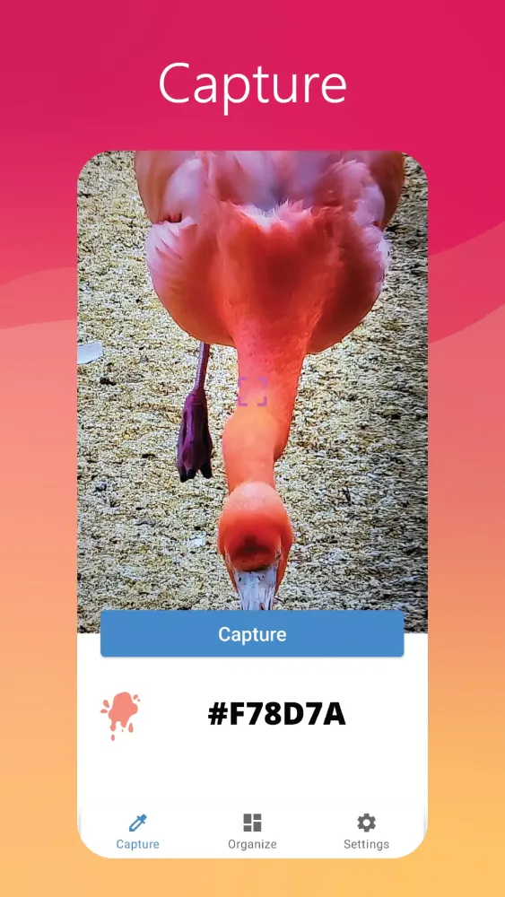 Colors Capture Pro Screenshots