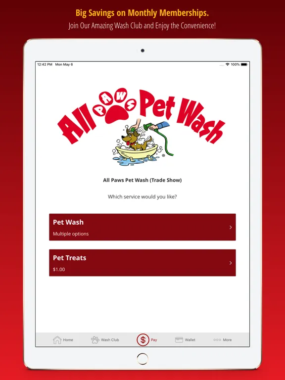 ภาพหน้าจอของ All Paws Pet Wash iPad 