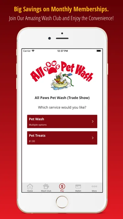 ภาพหน้าจอของ All Paws Pet Wash