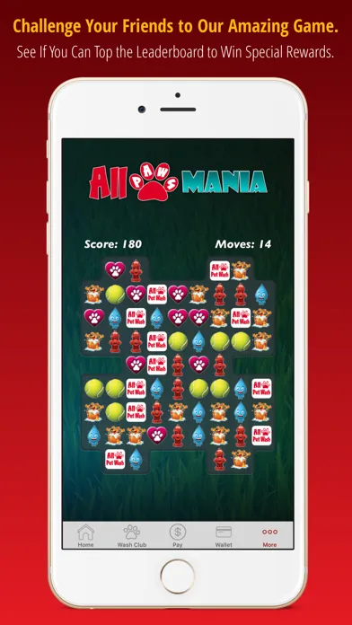 ภาพหน้าจอของ All Paws Pet Wash
