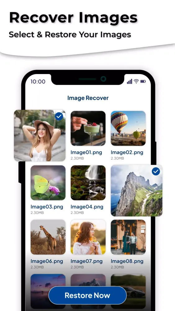 All Recovery Screenshots